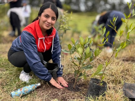 Tree Planting