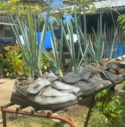 ARK Solves Gardening