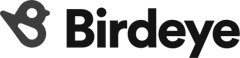 birdeye logo b&w