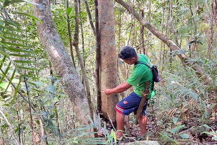 Climate commitment- centre for sustainability