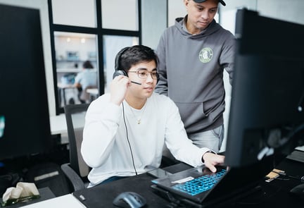 IT-roles