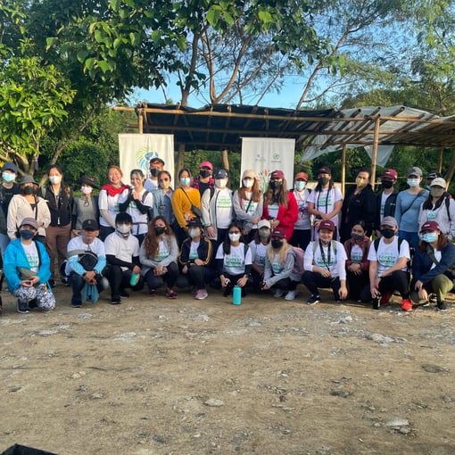 tree planting