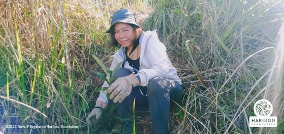Booth & Partners Tree Growing Efforts