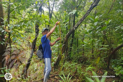 Mar 8 2024 Monitoring - BATAFA (5)