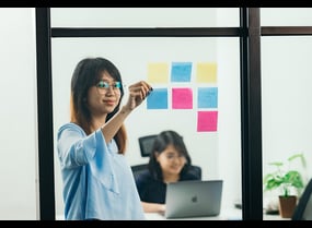 software developer and qa tester