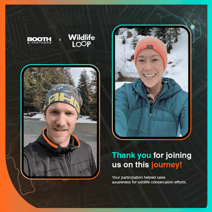 Wildlife-Loop-TY-GIF